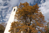 20071104_103037 Il campanile di S.Andrea accanto al faggio.jpg